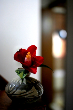 c0129498_1134332.jpg