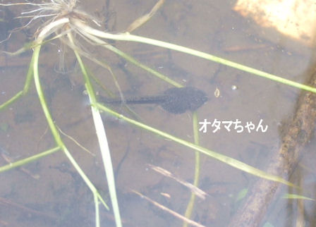 b0087400_22524348.jpg