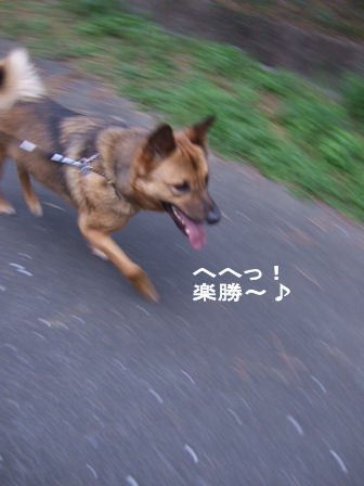 b0087400_23244258.jpg