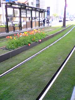 c0037701_052128.jpg