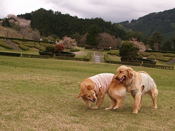 d0080601_213972.jpg