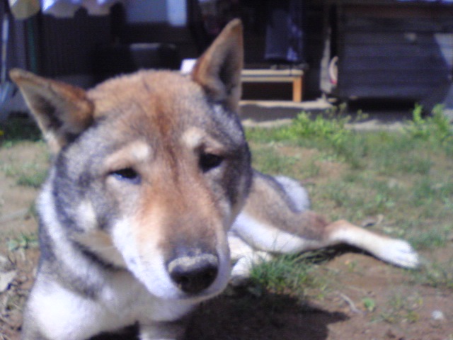 f0079202_13131264.jpg
