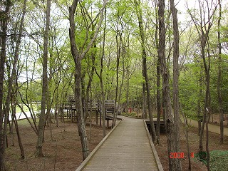 f0147602_11264346.jpg