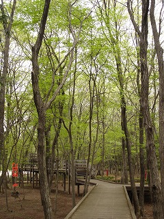 f0147602_11265262.jpg