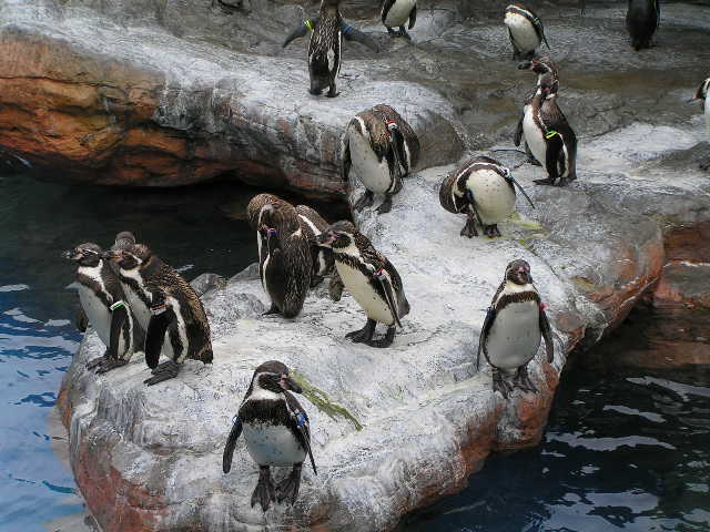 b0129008_2042996.jpg