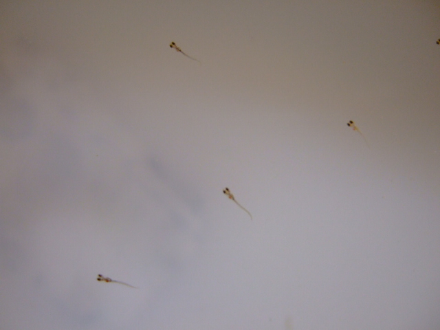 f0152308_17502585.jpg