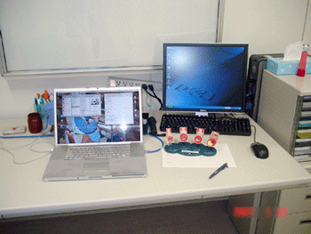 a0055913_0291098.gif