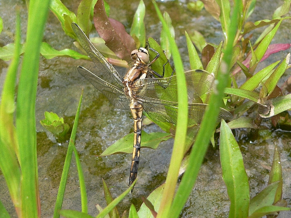 e0002314_18122746.jpg
