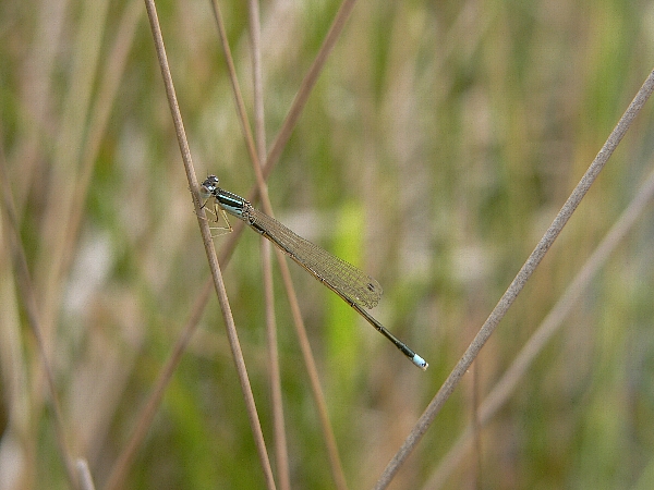 e0002314_18133969.jpg