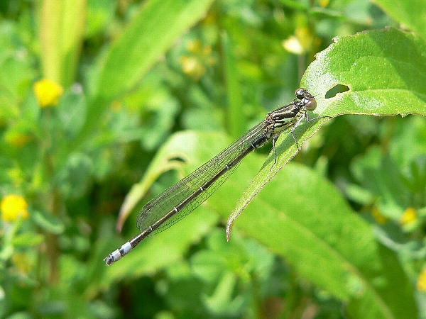 e0002314_18145388.jpg