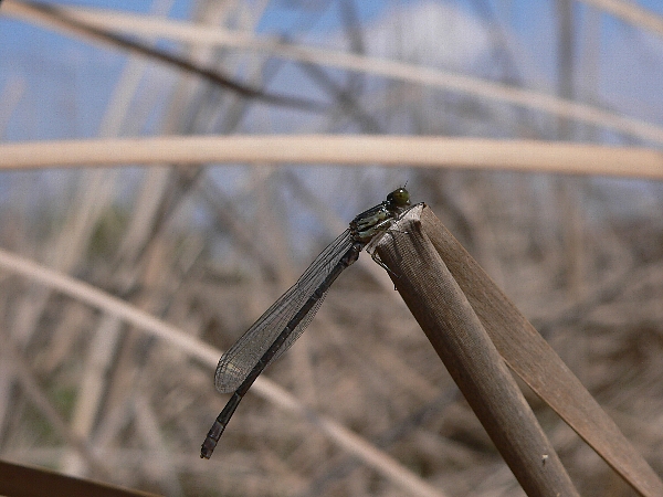 e0002314_18151079.jpg