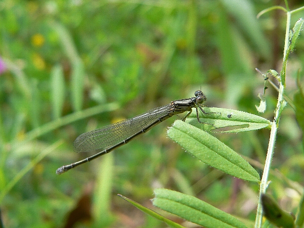 e0002314_18153874.jpg