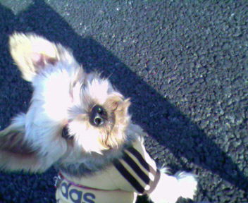 c0149717_1201011.jpg