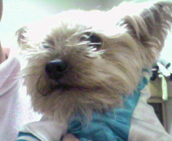 c0149717_1201089.jpg