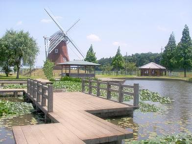 a0053420_1722029.jpg
