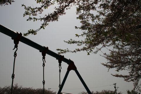c0003723_7254426.jpg