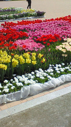 f0042726_1063485.jpg