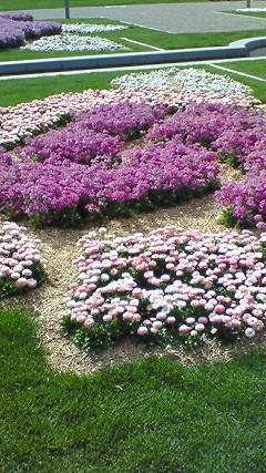 f0042726_1071919.jpg