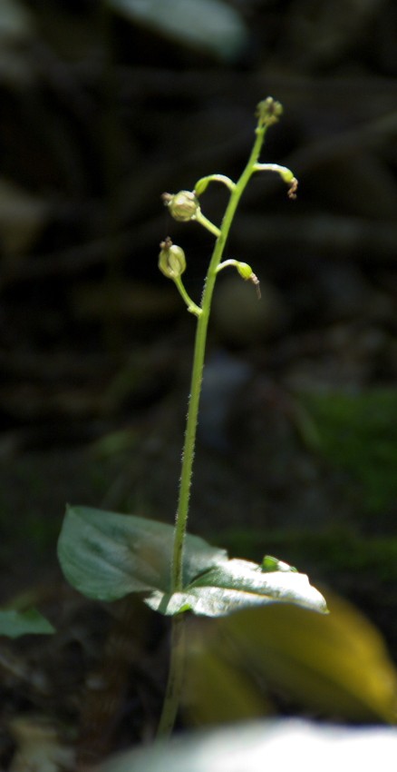 d0053930_19572243.jpg