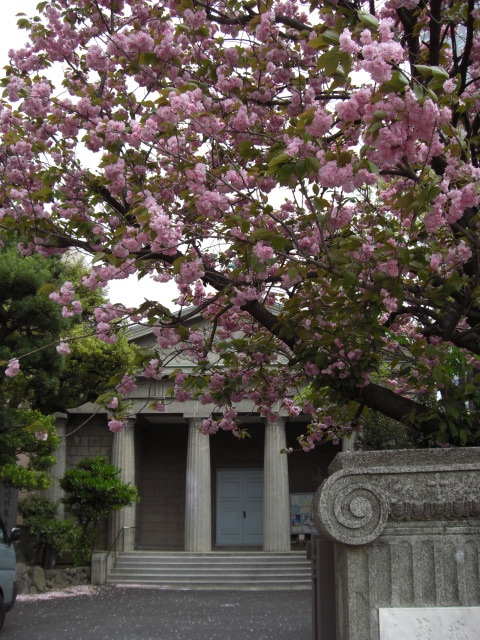 e0081334_20121492.jpg