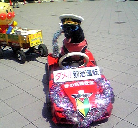 c0156438_9162745.jpg