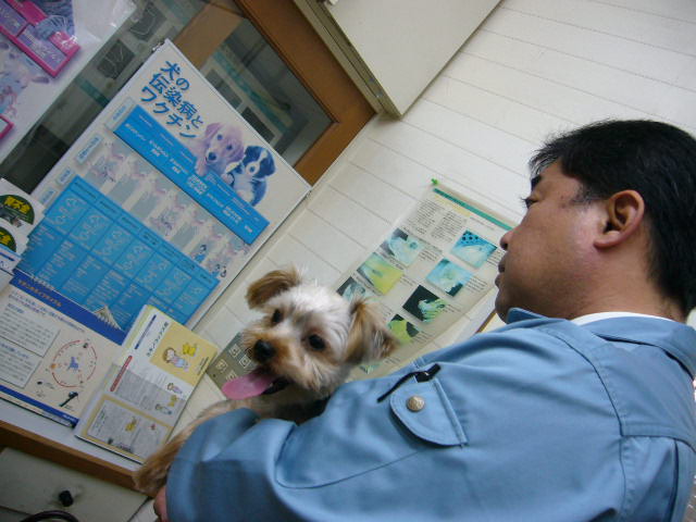 d0025643_22443199.jpg