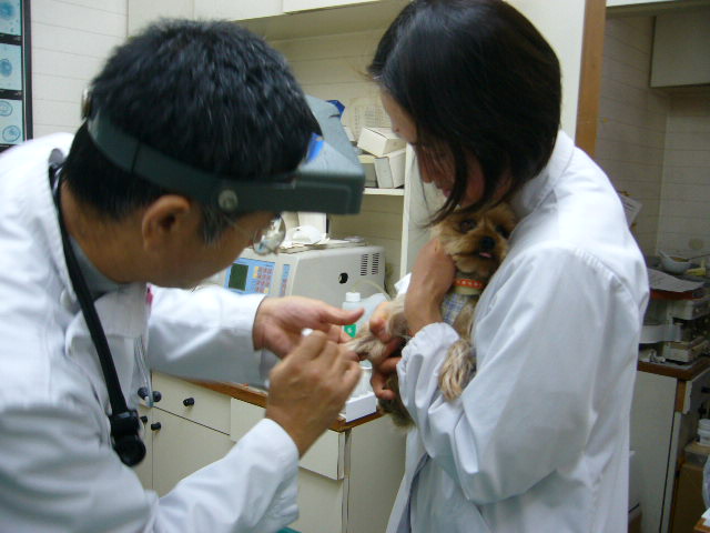 d0025643_22471622.jpg