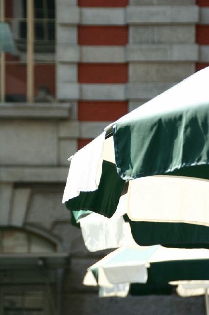 e0039744_1535518.jpg