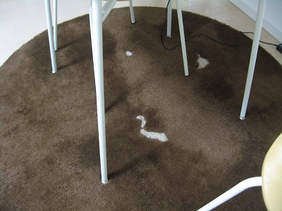 e0126046_2275774.jpg