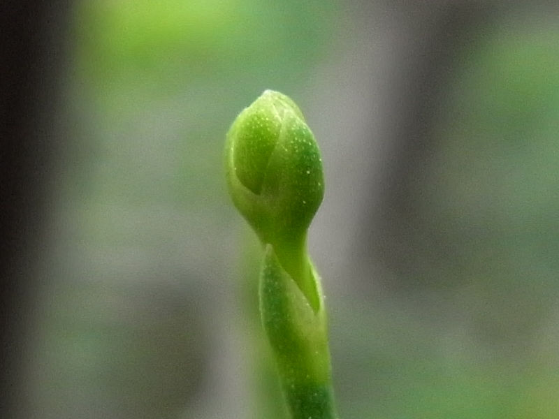 b0029648_1739159.jpg