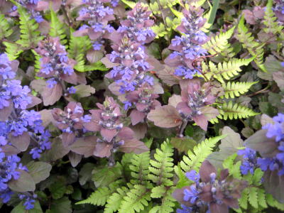 c0147952_20363477.jpg