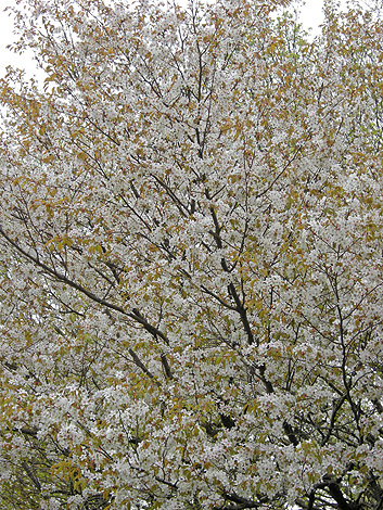 a0001354_2120750.jpg