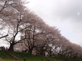 a0040858_11115975.jpg