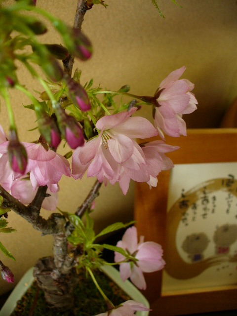 f0074659_20223686.jpg