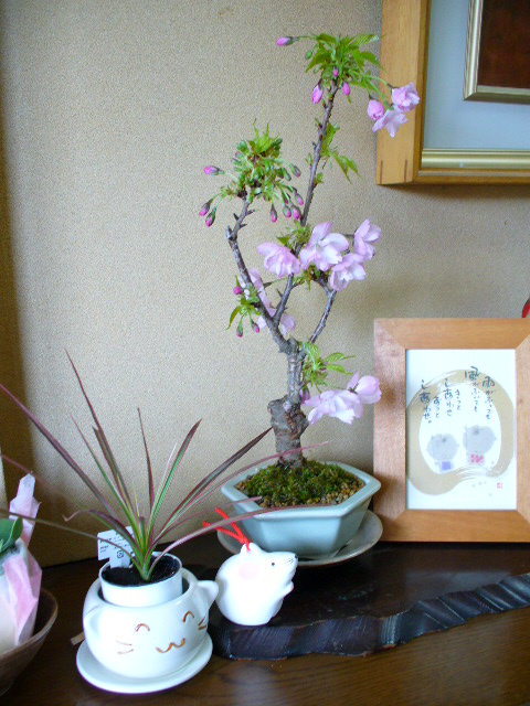 f0074659_20241985.jpg