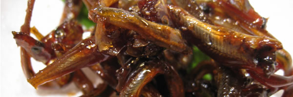 c0062361_19235984.jpg