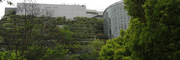 c0062361_204750.jpg