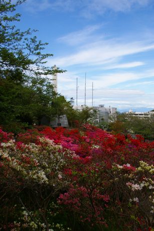 f0077663_14501711.jpg