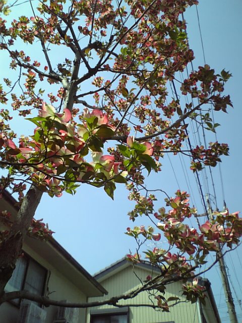 c0124776_18224953.jpg