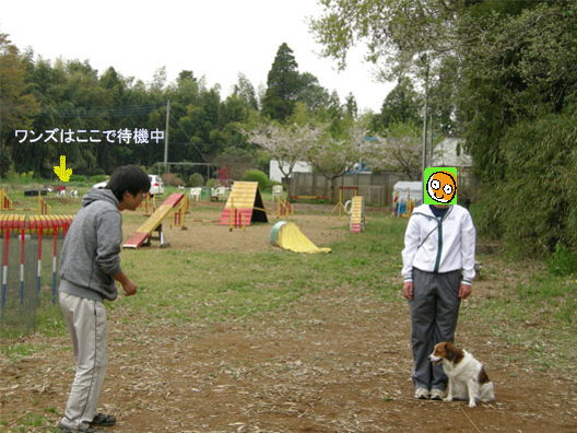 d0001985_0585527.jpg