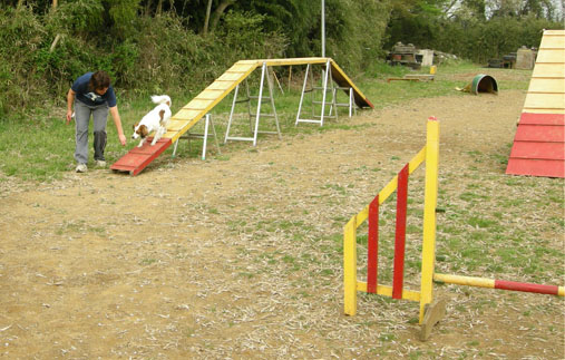 d0001985_1134993.jpg