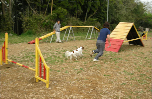 d0001985_1192710.jpg