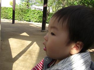 c0114993_2327055.jpg