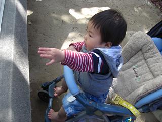 c0114993_2333965.jpg