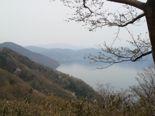 e0111793_20533866.jpg