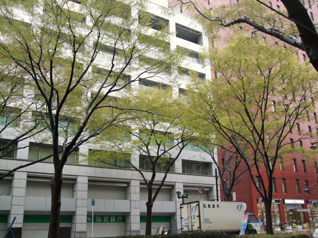 f0100593_16305016.jpg