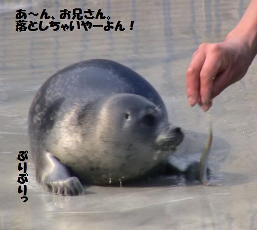 c0155902_22292420.jpg