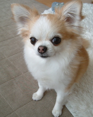 a0079803_2283383.jpg