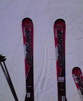 c0014906_1791459.jpg