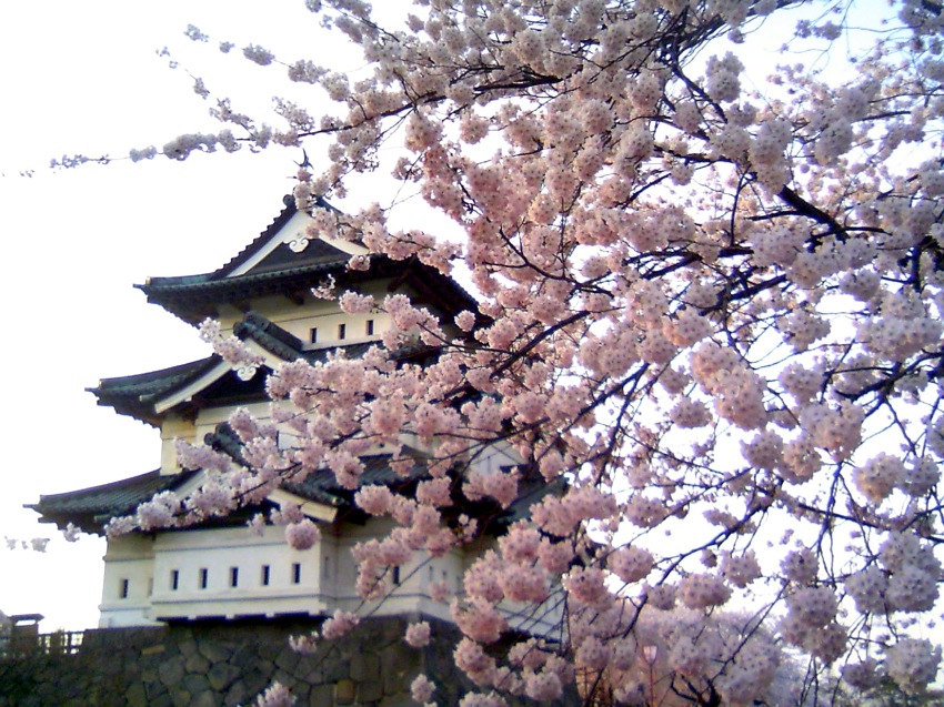 f0052011_21375662.jpg